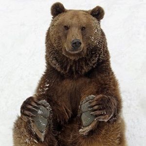 Meet your Posher, Aaron